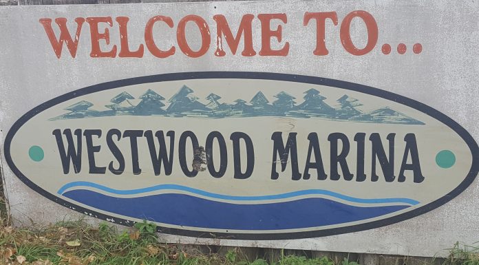 westwood marina