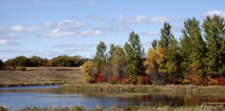 Don's Pond, Ney Park near Henderson, MN