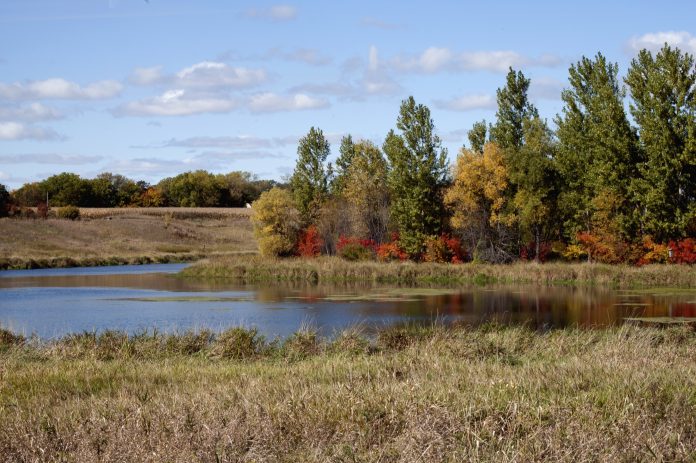 Don's Pond, Ney Park near Henderson, MN