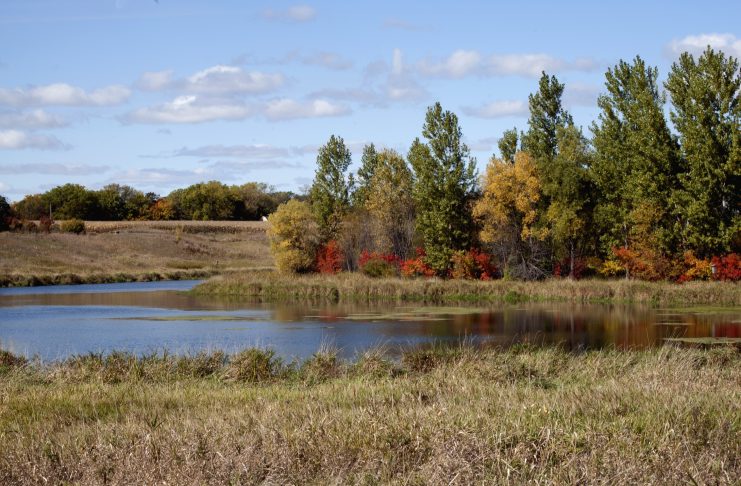 Don's Pond, Ney Park near Henderson, MN