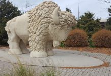 Buffalo Statue at Reconciliation Park in Mankato, MN