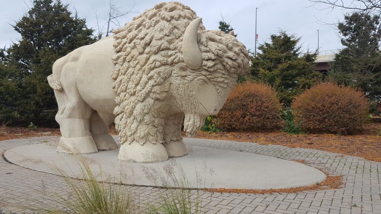 Buffalo Statue at Reconciliation Park in Mankato, MN