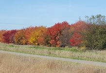 South Route Trail - Mankato, MN