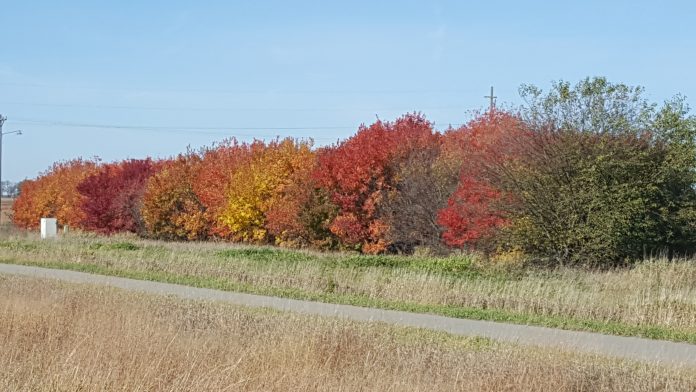 South Route Trail - Mankato, MN