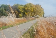 Photo by Tina Thomas - Sakatah Singing Hills State Trail