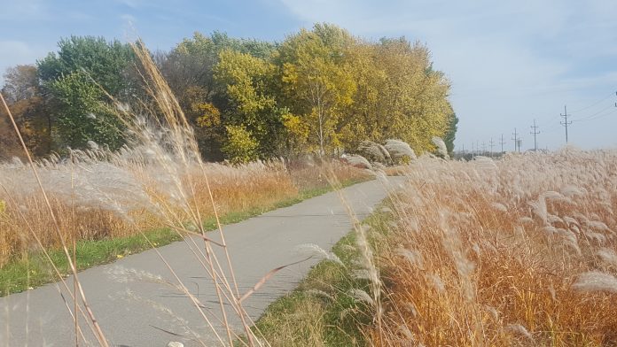 Photo by Tina Thomas - Sakatah Singing Hills State Trail