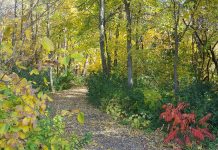 Clair's Creek Park - Mankato, MN