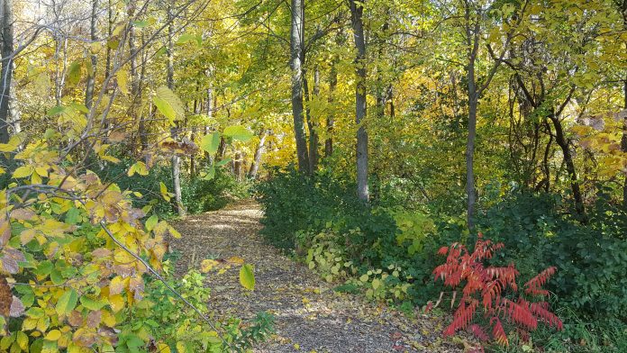 Clair's Creek Park - Mankato, MN