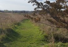 Kasota Prairie - Kasota, MN