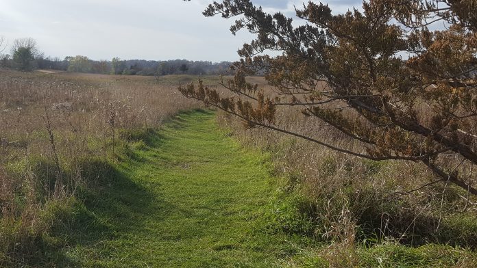 Kasota Prairie - Kasota, MN