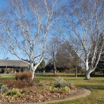 Linneaus Arboretum - St. Peter, MN