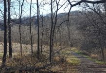 Rasmussen Woods - Mankato, MN