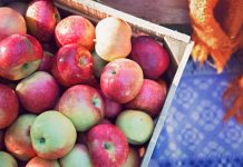 Welsh Heritage Farm - Lake Crystal, MN - Apples!