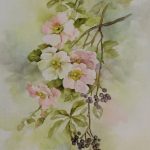 Becky West - Wild Roses and Berries
