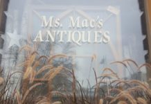 Ms Macs Antiques