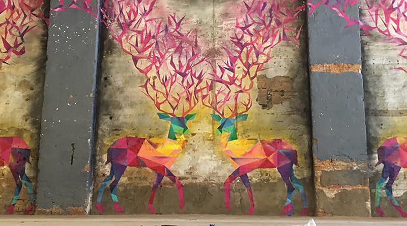 Abstract Deer - Office Space Design, Mankato MN