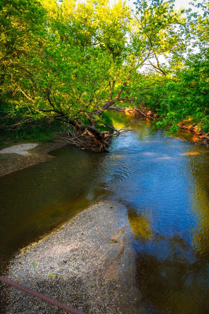 Photo by Rick Pepper - The Le Sueur River changes shape with every flash flood and fallen tree. It is especially attractive when the water is lower.