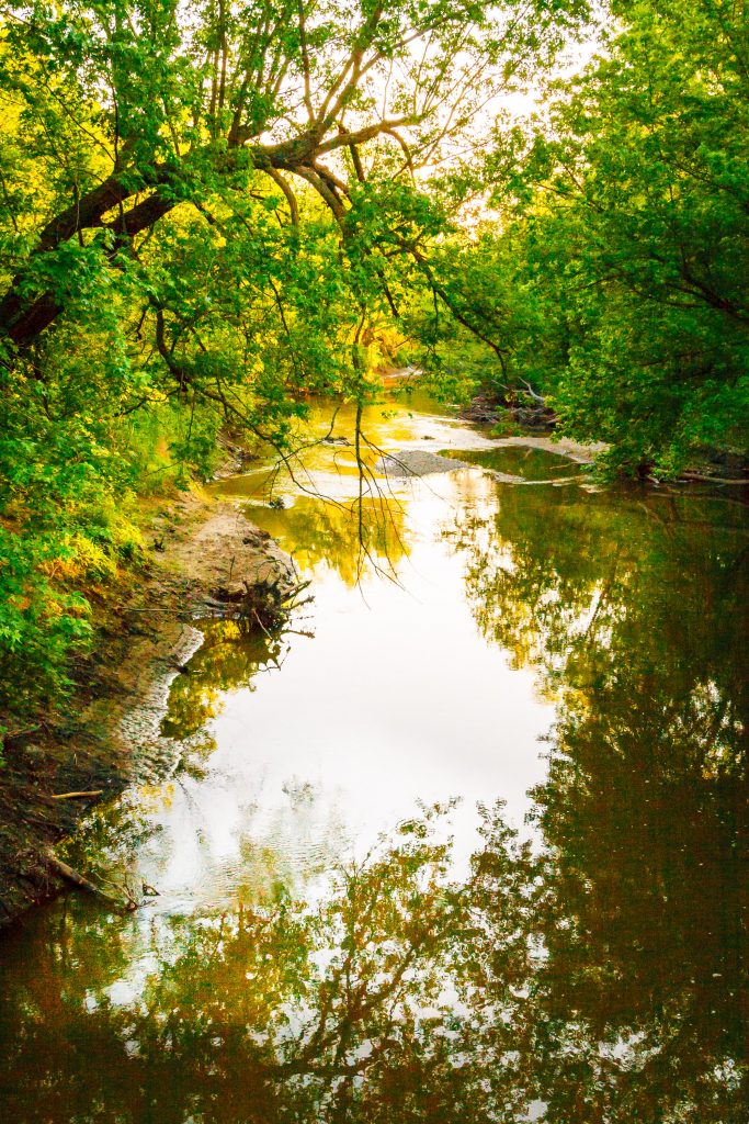 Photo by Rick Pepper - Lazy water makes for quiet fishing experiences.