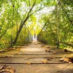 Photo by Rick Pepper - The swinging bridge offers a lot of character for photo ops.