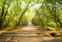 Photo by Rick Pepper - The swinging bridge offers a lot of character for photo ops.