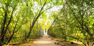 Photo by Rick Pepper - The swinging bridge offers a lot of character for photo ops.