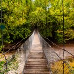 Photo by Rick Pepper - At high water, the bridge almost looks like something out of an Indiana Jones movie.