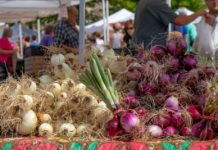 Farmers Market Produce