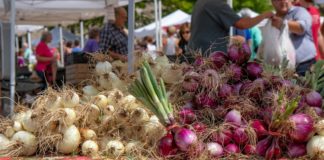 Farmers Market Produce