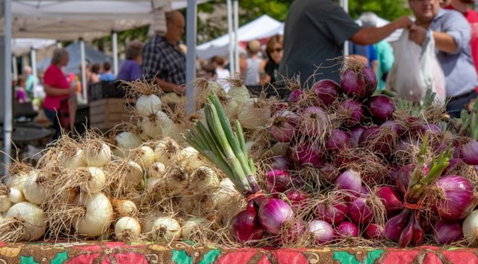 Farmers Market Produce