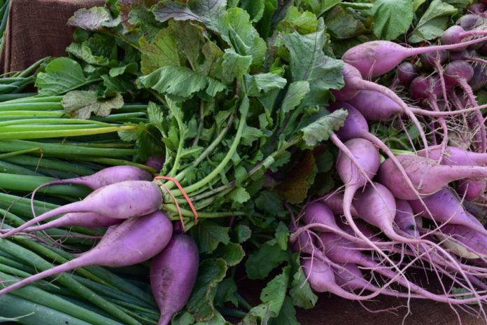 North Mankato Farmers' Market 2018