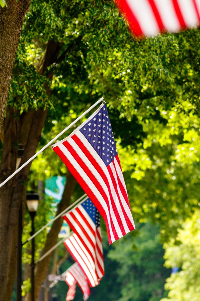 Photo by Rick Pepper - American flags and more depth compression along Belgrade Ave. in lower North Mankato.