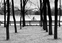 Photo by Ray Fesenmaier - Author Becky Fjelland Davis visible through a walnut grove.