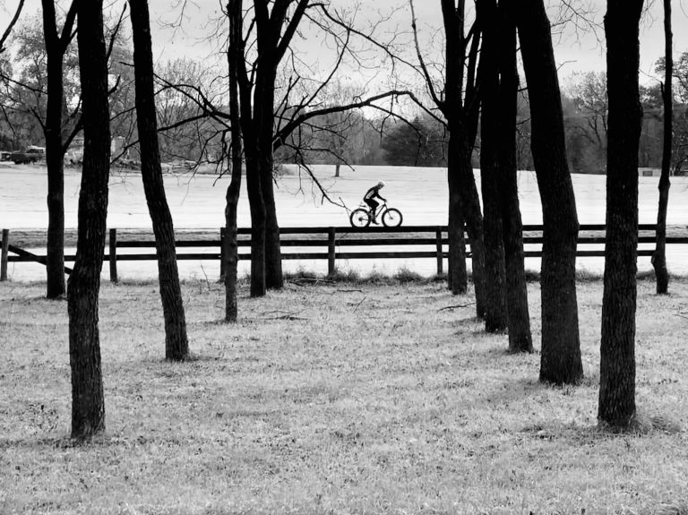 Photo by Ray Fesenmaier - Author Becky Fjelland Davis visible through a walnut grove.