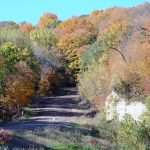 Photo by Don Lipps - Fall foliage near Seven Mile Creek