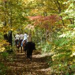 Photo by Don Lipps - Horseback in Seven Mile Creek