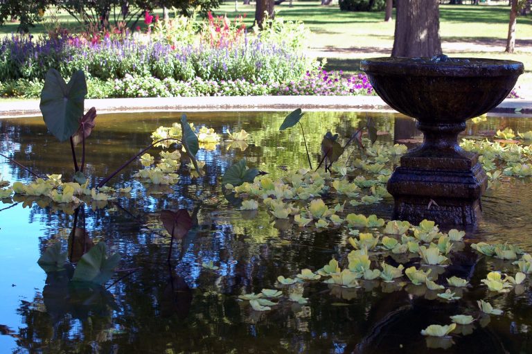 Photo by Don Lipps - Sibley Park - Mankato, MN