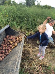 Photo by Lisa Phillips - Blue Skye Farm - Mankato, MN - Marty Phillips with his best helper, granddaughter Charley