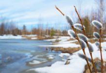 Spring thaw - Mankato, MN