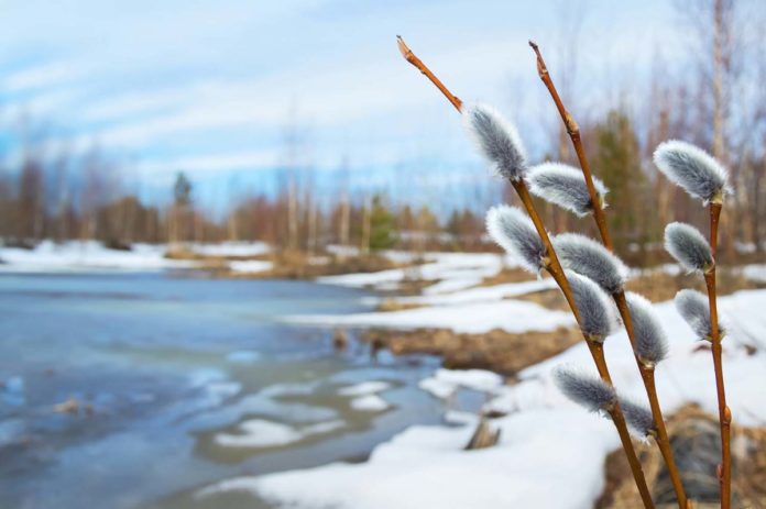 Spring thaw - Mankato, MN