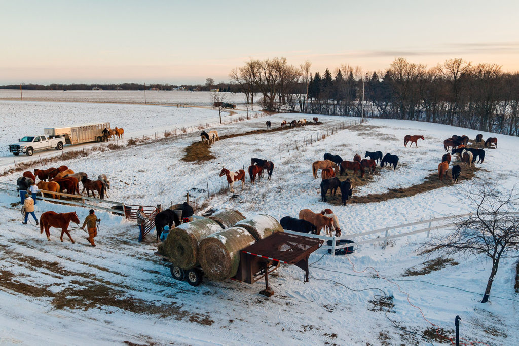 Photo by Rick Pepper - The Horses of the 2012 Dakota 38+2 riders pastured at the farm of Sylvester "Ken" Ziegler