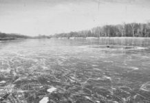 Ice on pond