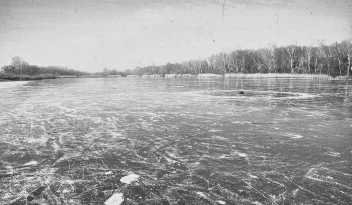 Ice on pond