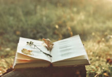 Book of poetry outdoors