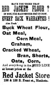 Mankato Weekly Record, November 26, 1878