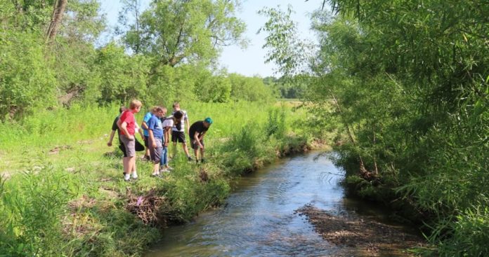 Photo courtesy MSU’s Engineering Center of Excellence - Explore Adventure STEM campers