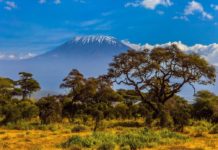 Mount Kilimanjaro and its three volcanic cones, Kibo, Mawenzi and Shira, is a dormant volcano in Tanzania and the highest peak in Africa