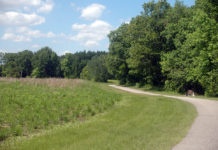 Photo by Don Lipps - Central open area in Bluff Park, North Mankato