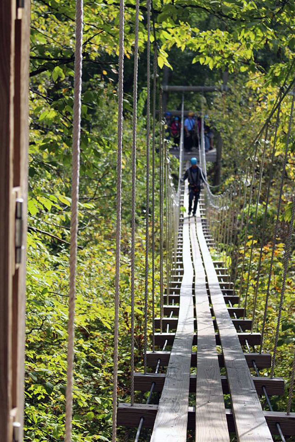 Submitted Photo - Suspension bridge at Kerfoot Canopy Tour near Henderson, Minnesota
