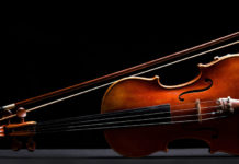 Violin on a black background