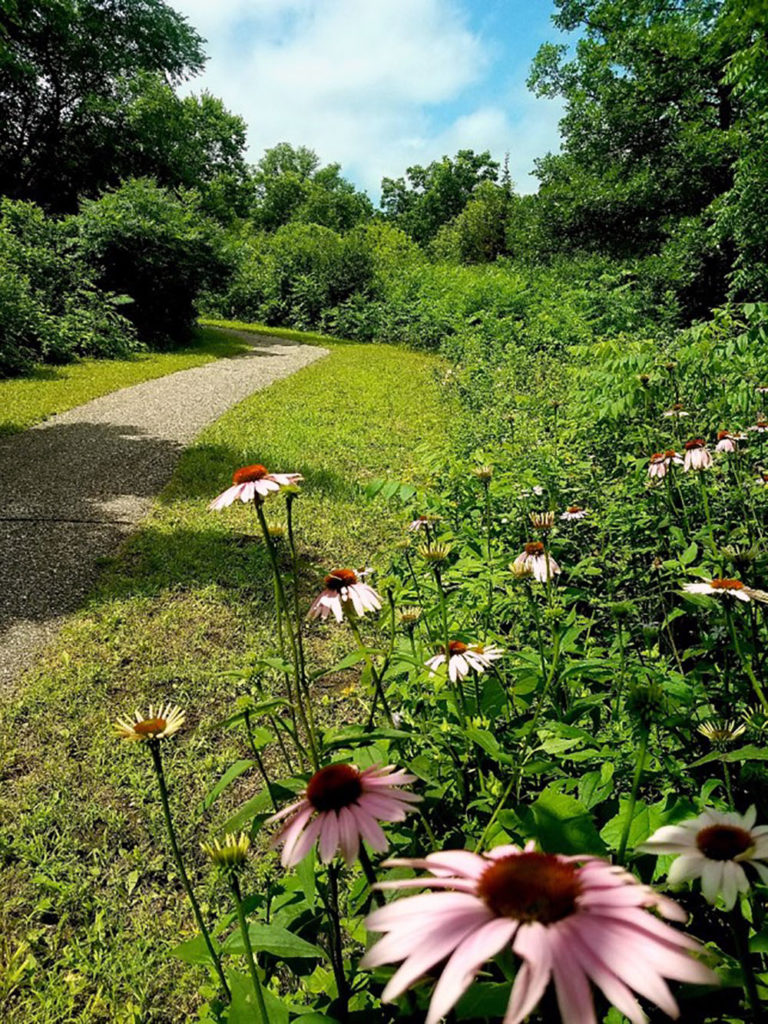 Submitted Photo - Williams Nature Center